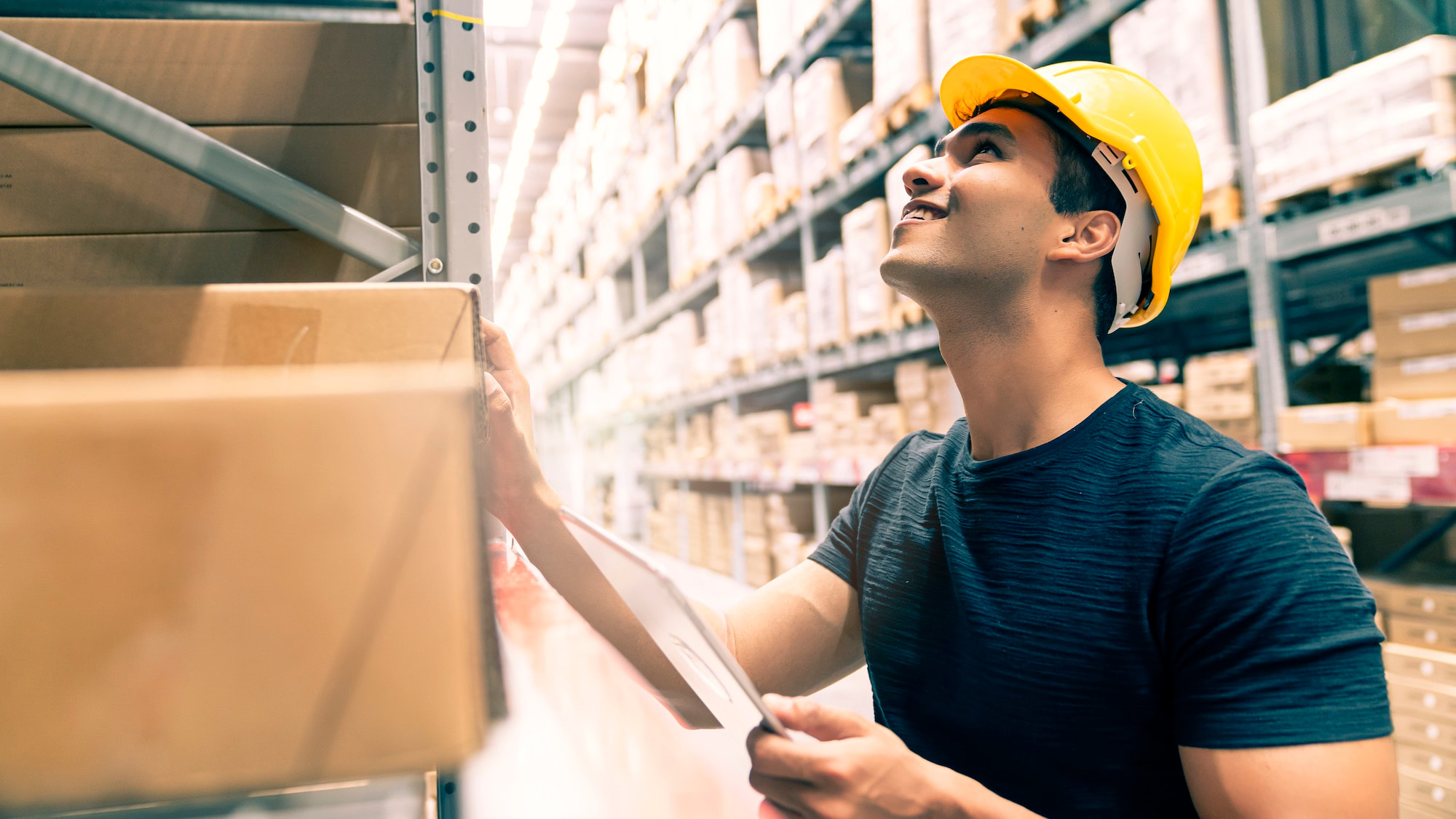 Warehouse logistics and cargo handling